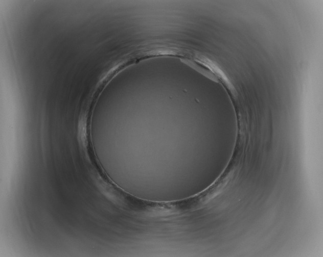 X0000114420386200910231210