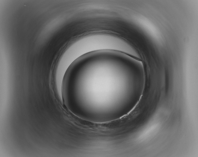X0000114420387200910231210