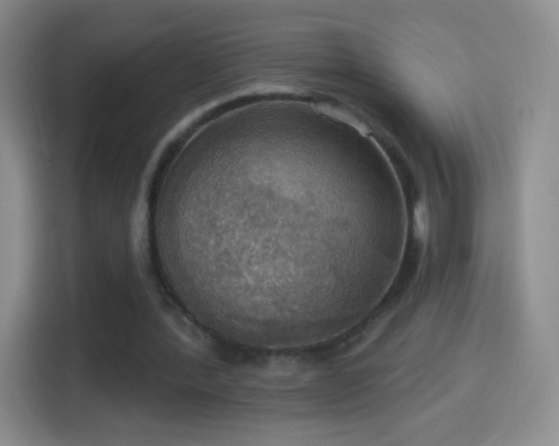 X0000114420388200910231210