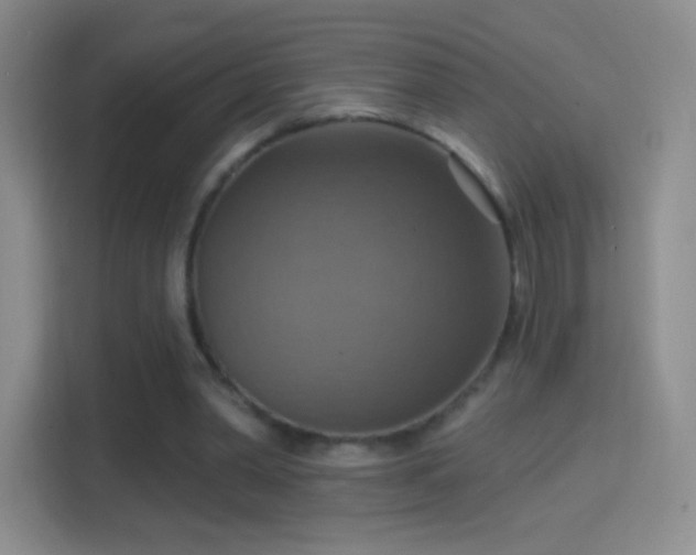 X0000114420390200910231210
