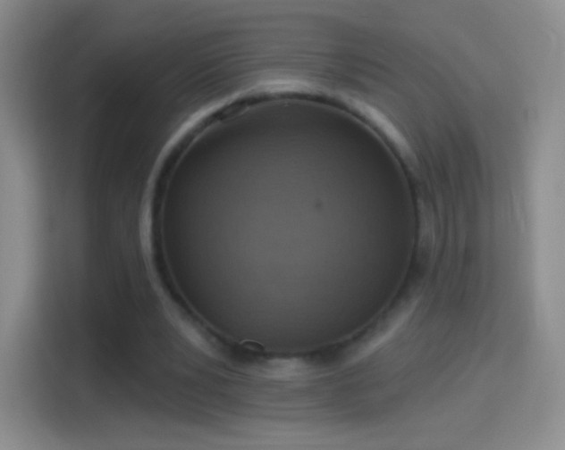 X0000114420391200910231210