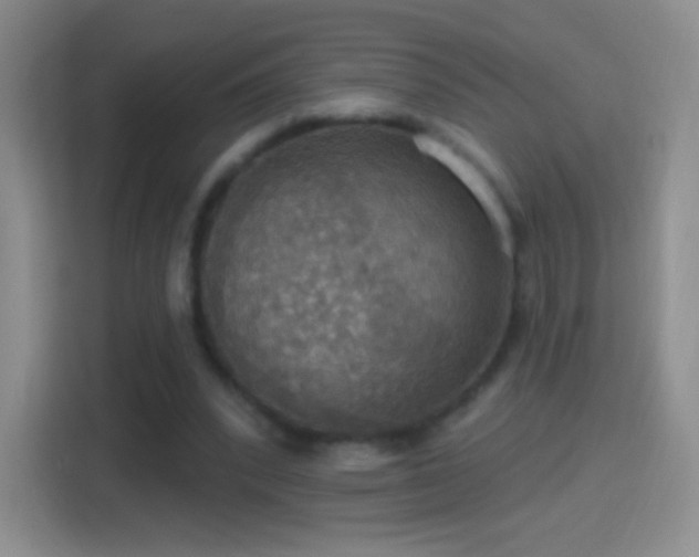X0000114420392200910231210