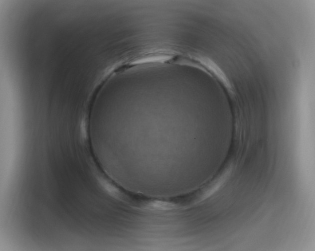 X0000114420393200910231210