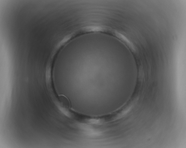 X0000114420394200910231210