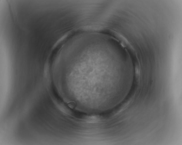 X0000114420396200910231210