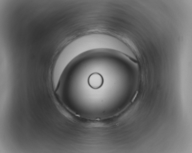 X0000114420397200910231210