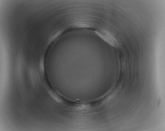 X0000114420398200910231210