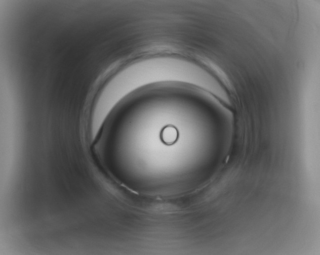 X0000114420399200910231210