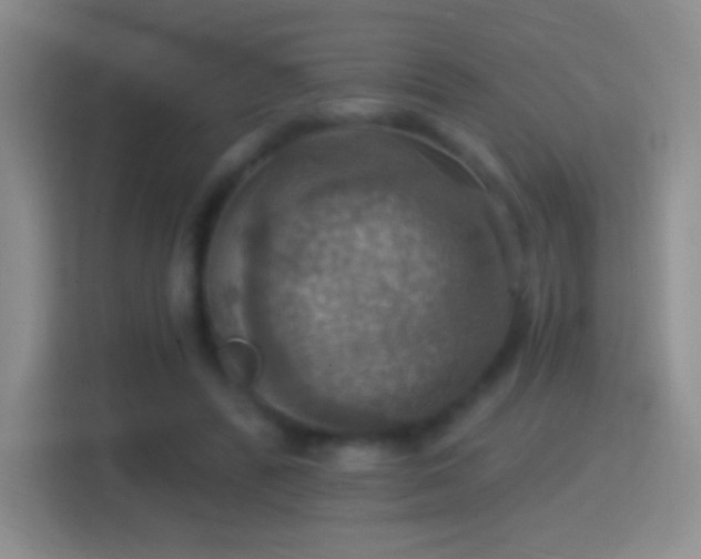 X0000114420400200910231210