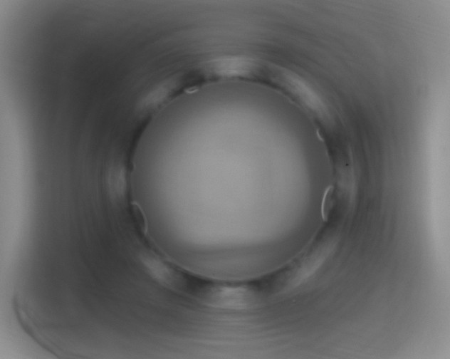 X0000114420401200910231210