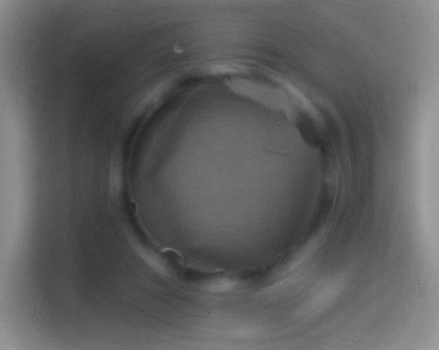 X0000114420402200910231210