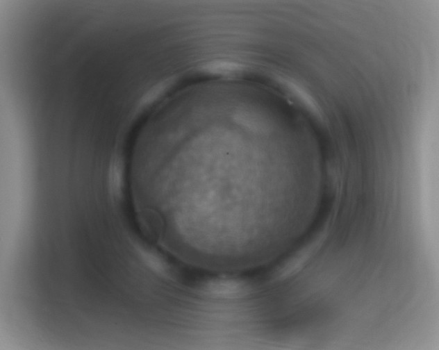 X0000114420404200910231210