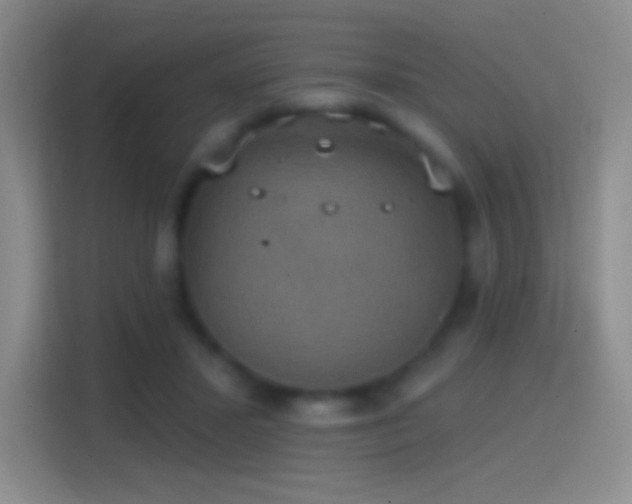 X0000114420407200910231210