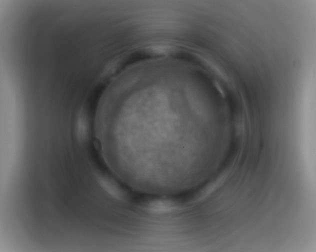 X0000114420408200910231210