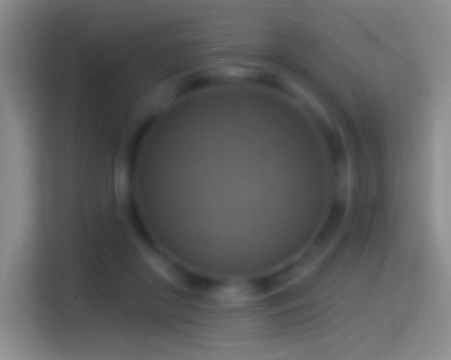 X0000114420410200910231210