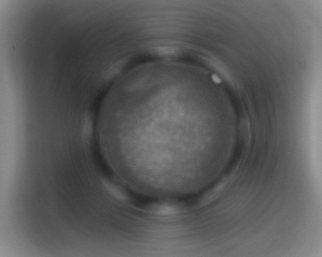 X0000114420412200910231210