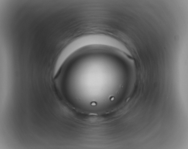 X0000114420415200910231210
