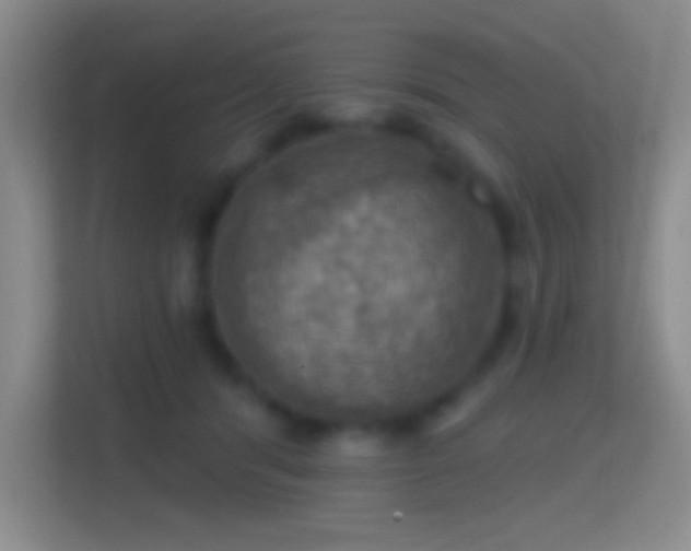 X0000114420416200910231210