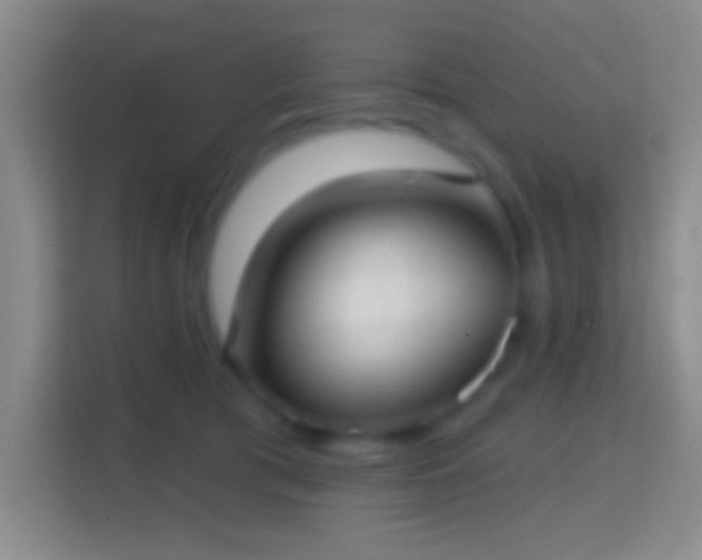 X0000114420417200910231210