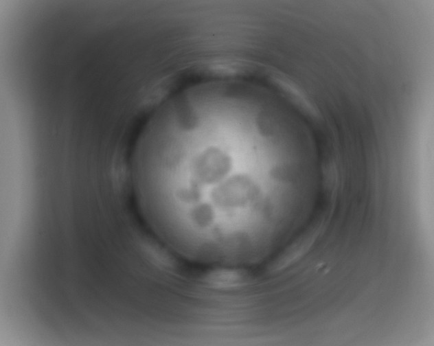 X0000114420418200910231210