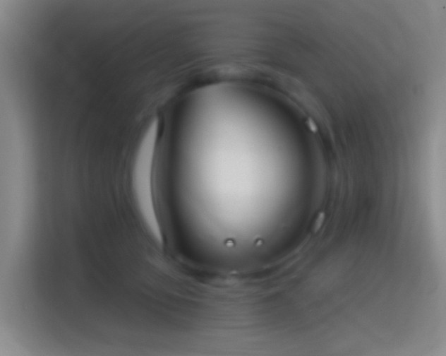 X0000114420419200910231210