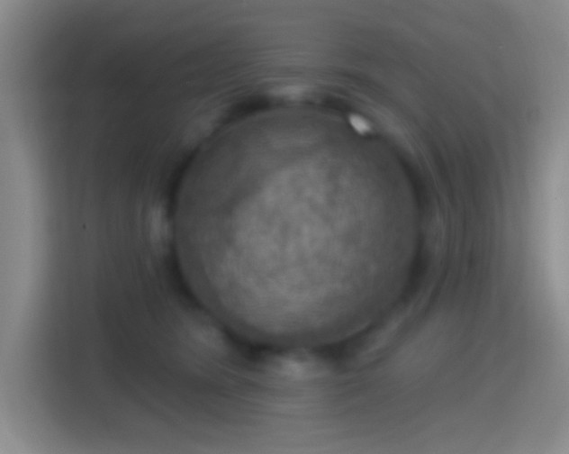 X0000114420420200910231210