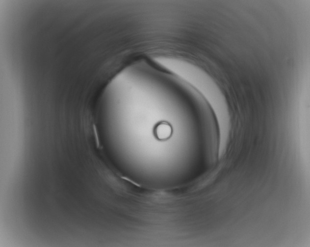 X0000114420421200910231210