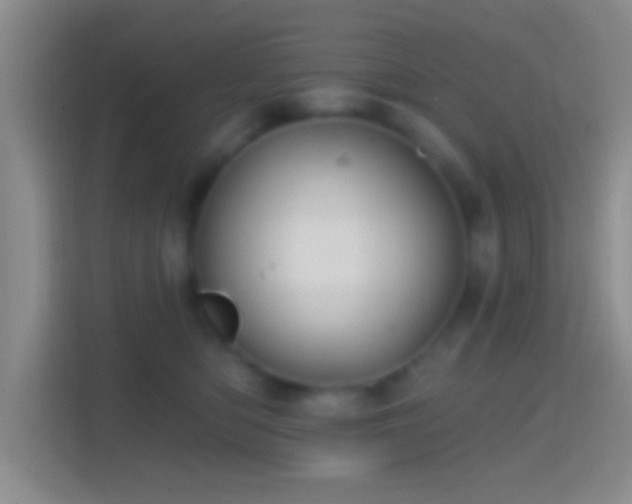 X0000114420422200910231210