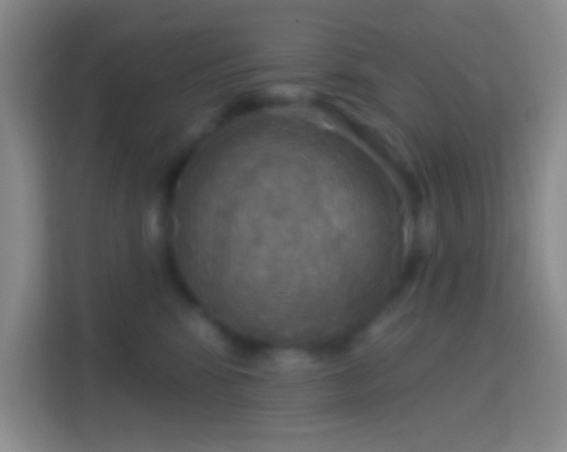 X0000114420424200910231210