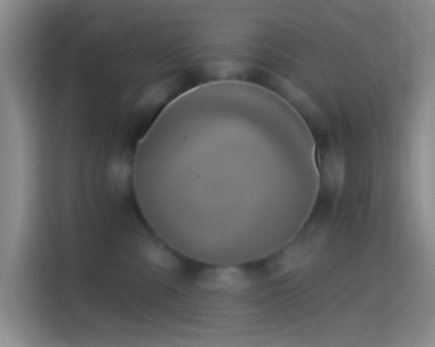X0000114420427200910231210