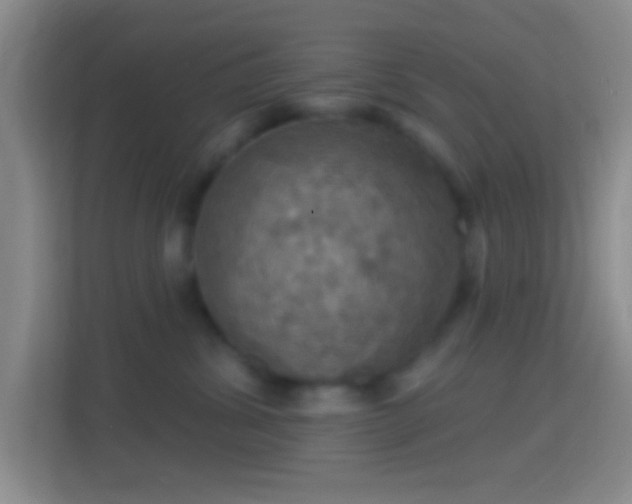 X0000114420428200910231210