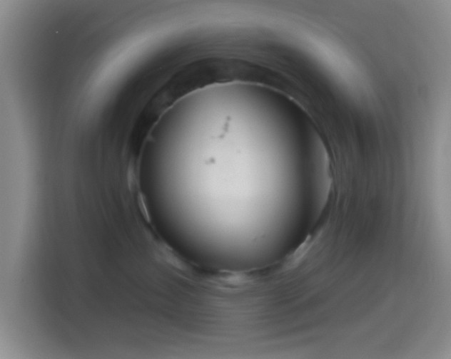 X0000114420431200910231210