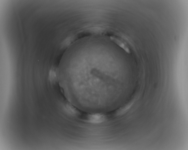 X0000114420432200910231210