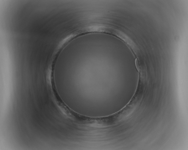 X0000114420434200910231209
