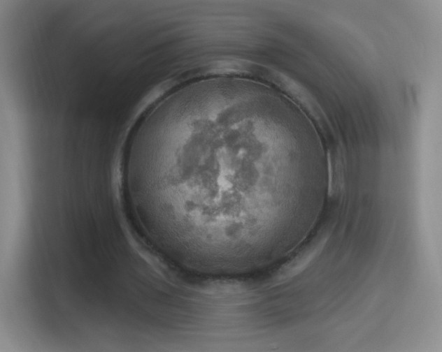 X0000114420435200910231209