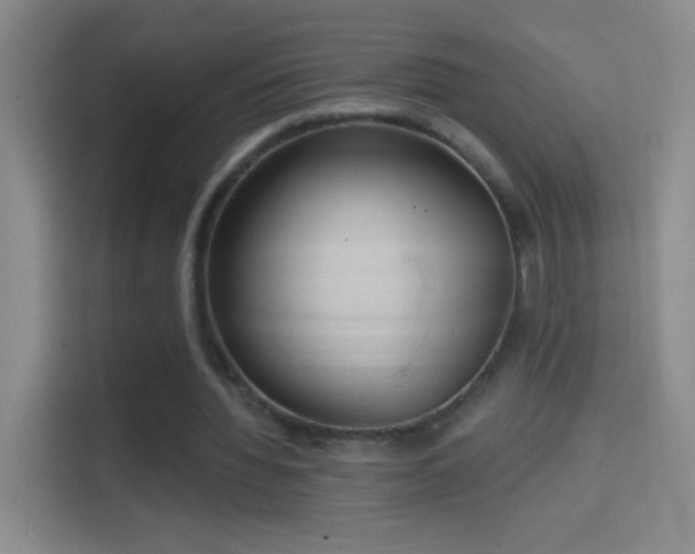 X0000114420436200910231209