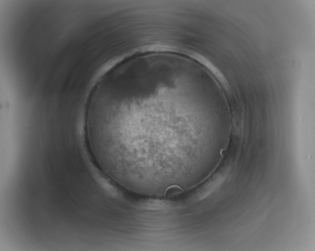 X0000114420437200910231209