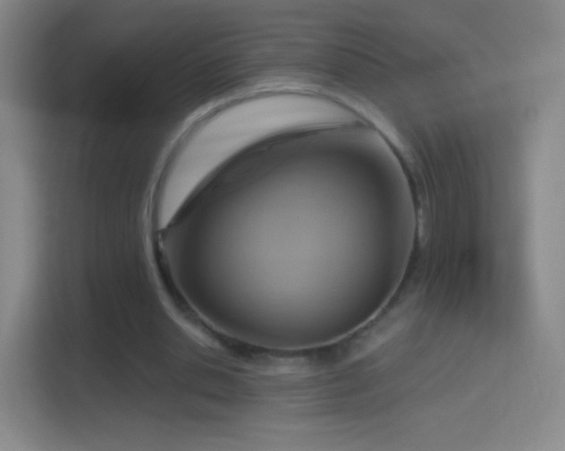 X0000114420438200910231209