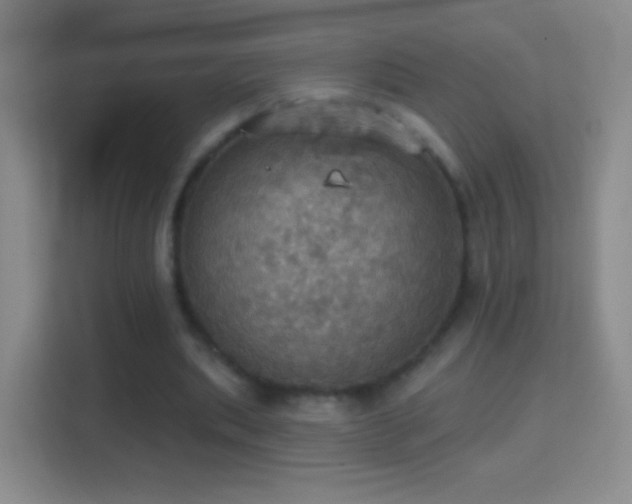 X0000114420439200910231209