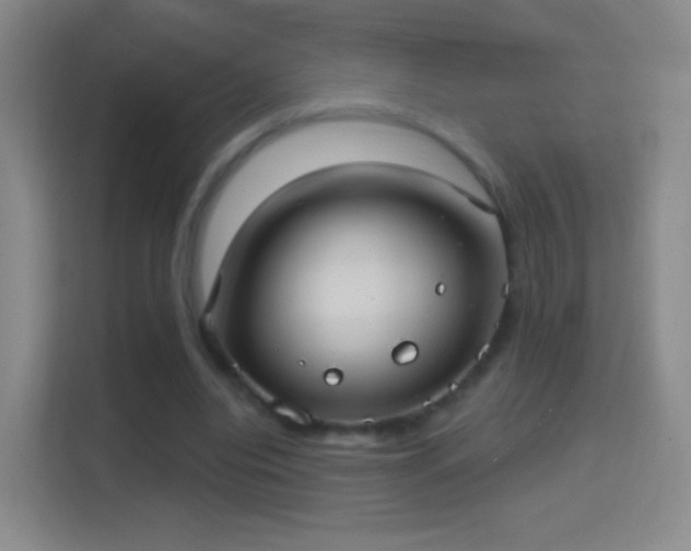 X0000114420440200910231209
