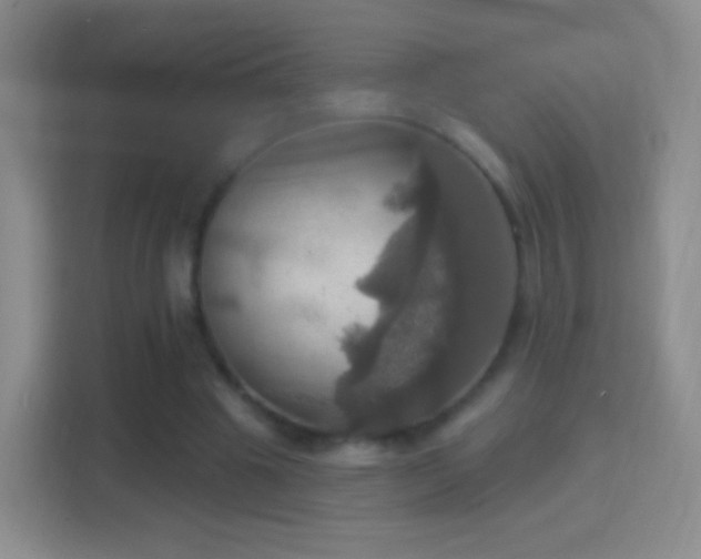 X0000114420441200910231209
