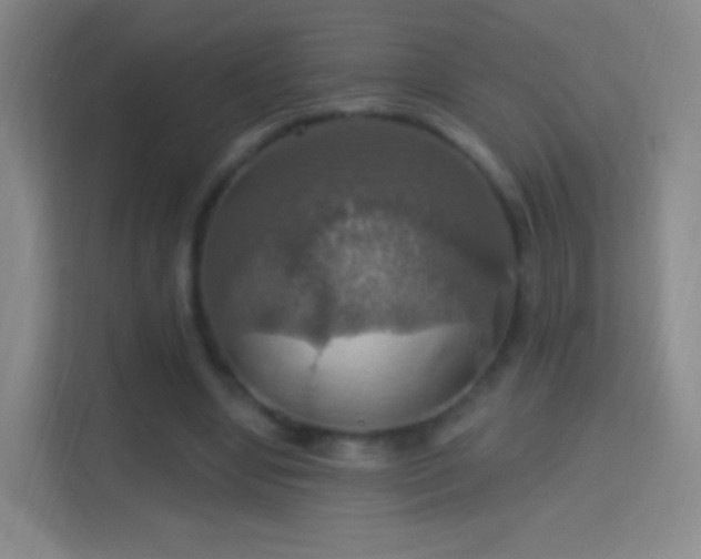 X0000114420442200910231209