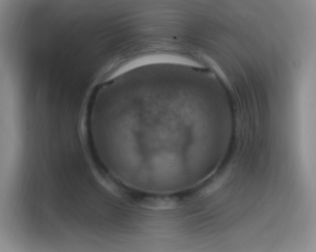 X0000114420443200910231209