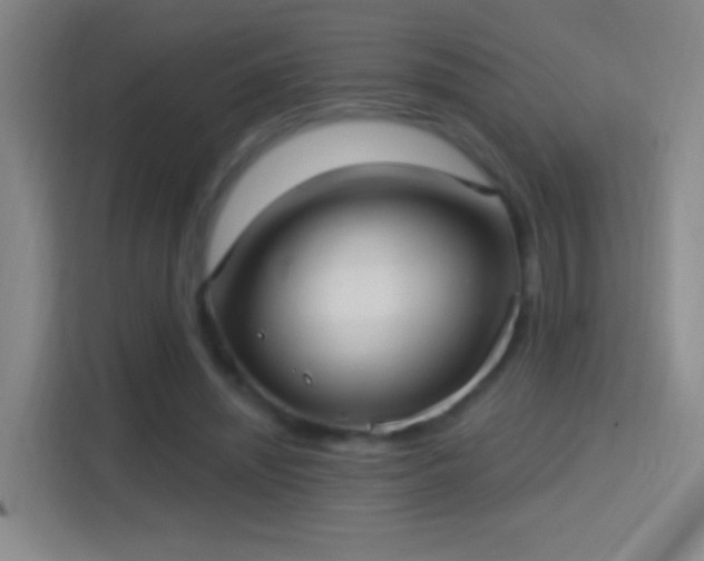 X0000114420444200910231209