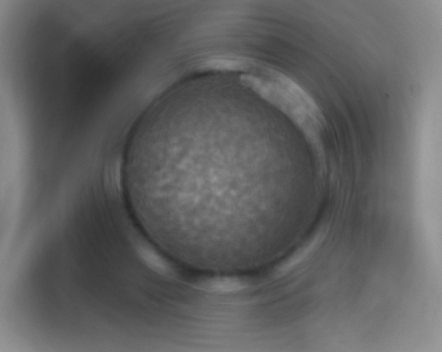 X0000114420445200910231209