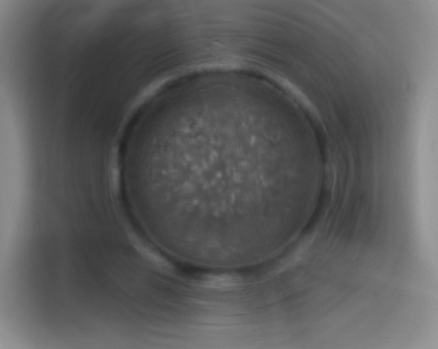 X0000114420446200910231209