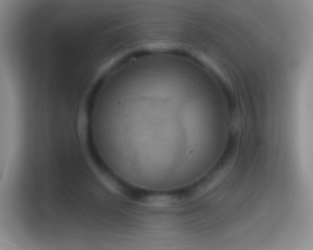 X0000114420448200910231209