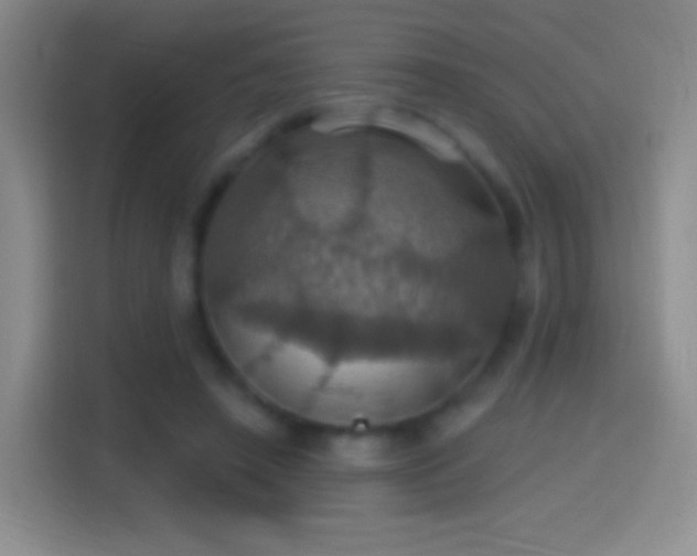 X0000114420450200910231209