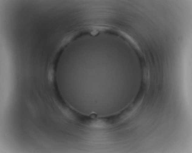 X0000114420451200910231209