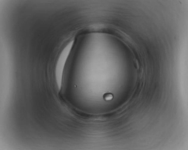 X0000114420452200910231209